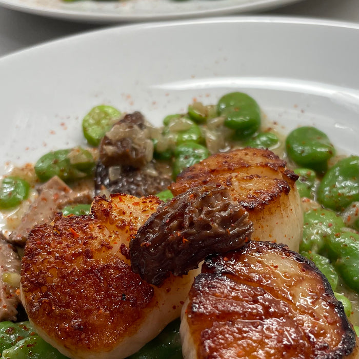 Seared Scallops on a bed of fava beans and Morels