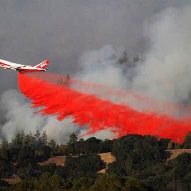 Thanks for all the LOVE as a firefighting aircraft drops red retardant on a wildfire.