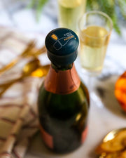 Champagne reseal stopper